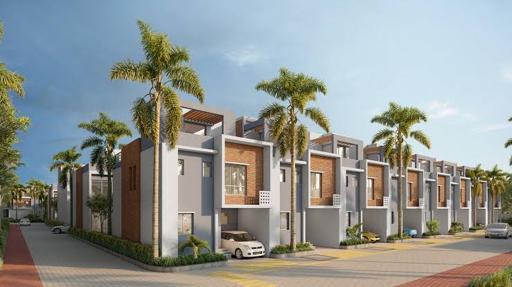 Private lawn at DTC Palm Grove villa